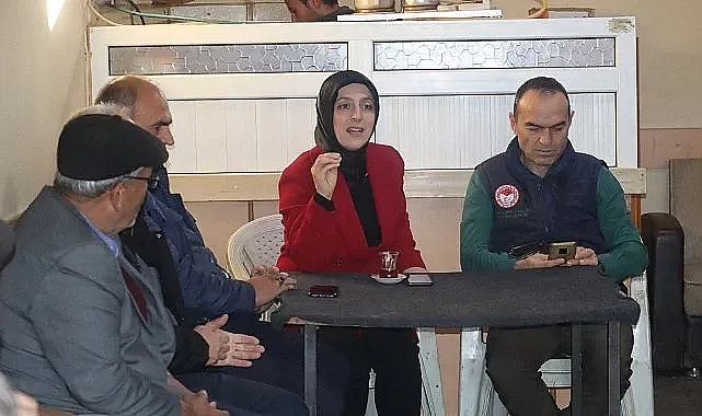 Hatice Bulut